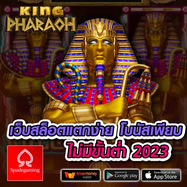 ACE ROMAN เข้าสู่ระบบ